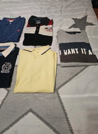 Lote 6 polos y jersey