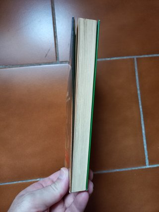 Libro Indiana Jones Arca perdida Campbell Black