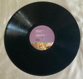 The Wolfgang Press - Mama Told Me Not To Come 12"