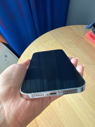 iPhone 12 Pro Max Apple