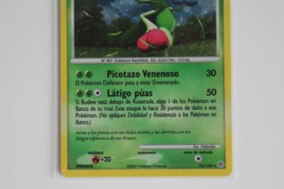Carta Pokémon Roserade Holo Diamante y Perla