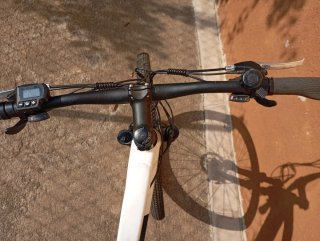 Bicicleta Elèctrica Youin Everest 29"