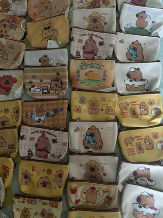 60 monederos de capibara