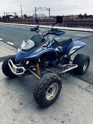 Quad gas gas wild 300