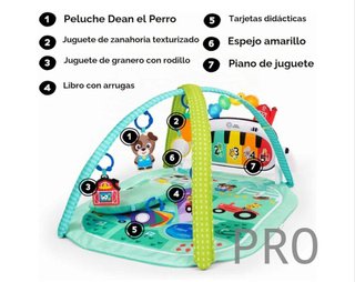 Baby Einstein Gimnasio Musical Kickin