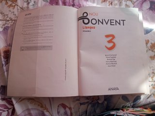 Nou bonvent Llengua 3 Primària ANAYA