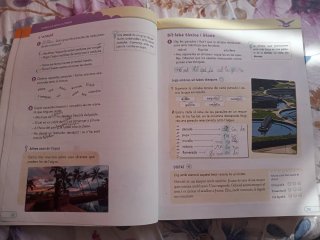 Nou bonvent Llengua 3 Primària ANAYA