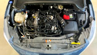 Ford FOCUS FAMILIAR 1.0 Ecoboost MHEV 92kW Active X SB (2024)