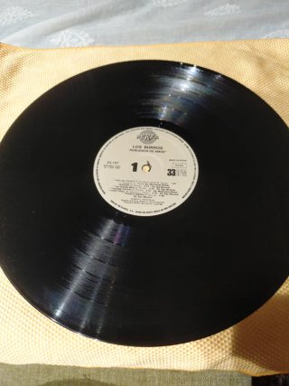 Vinilo Los Burros Huesos 1989 Muy buen estado, NM