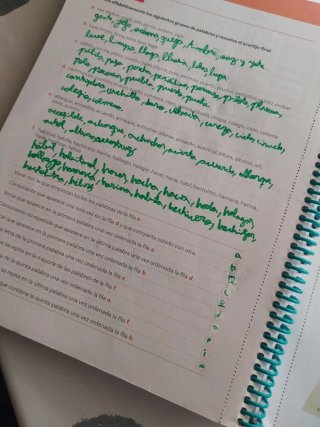 Lengua castellana y literatura, 1 ESO, Proyecto...