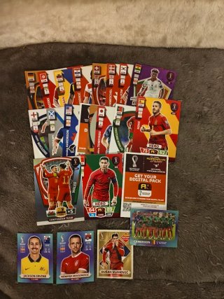 Álbum al 70% +surtido cromos diferentes temporadas
