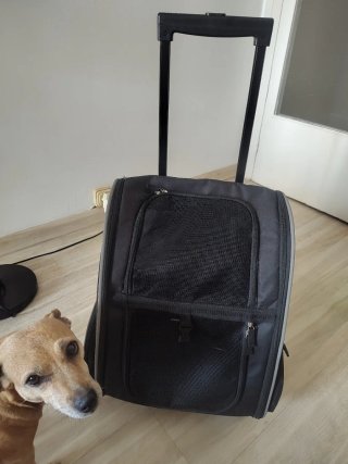 Mochila Trixie transportín con ruedas para mascota