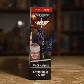 Warhammer 40K Space Marines Intercessors + Paints