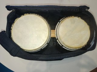 Bongos de roble