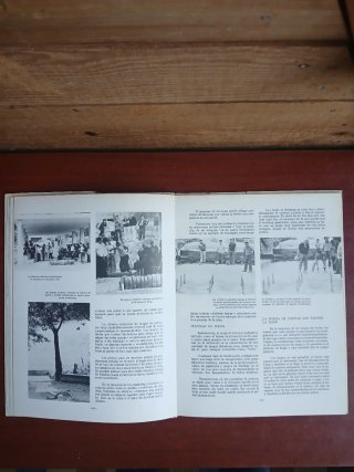 Libro Los Bolos en España 1978