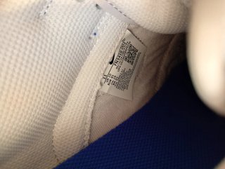 Nike Dunk Low Blu/Bianco