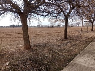 Casa rural en venta en Tomelloso