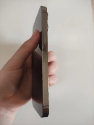 iPhone 13 Pro - Batería 100%