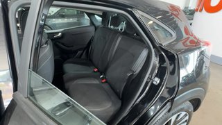 Ford PUMA 1.0 EcoBoost 92kW 125cv Titanium (2022)