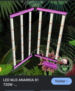 Foco LED ANARKIA 81 M J 3 720w