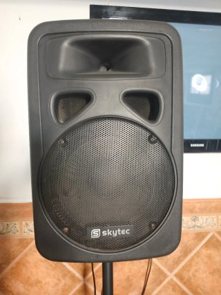 Altavoz Skytec Amplificado 300W Negro