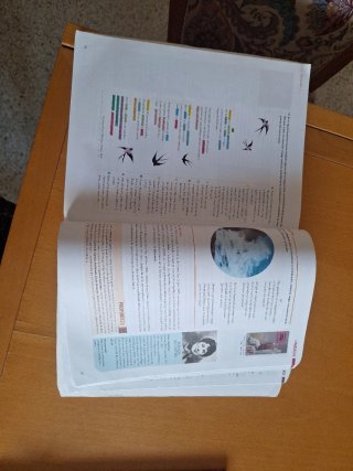 Lengua castellana y literatura, 1 BACH.
