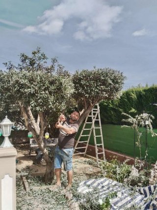 Jardinero professional
