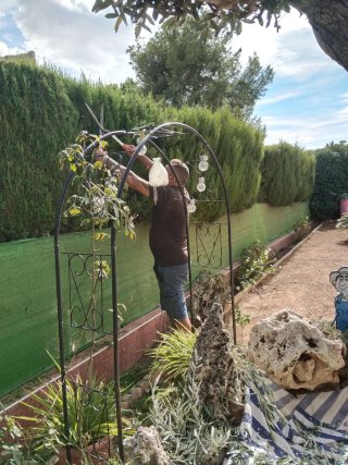 Jardinero professional