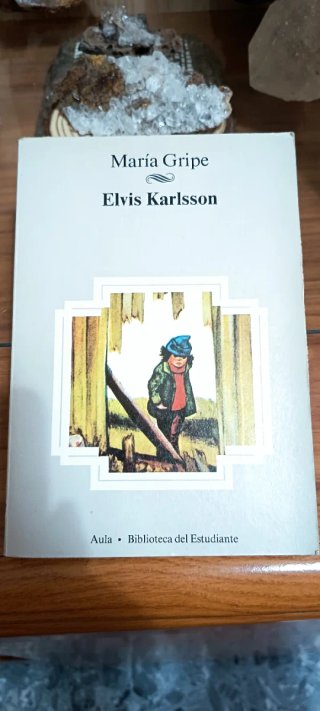 Libro juvenil