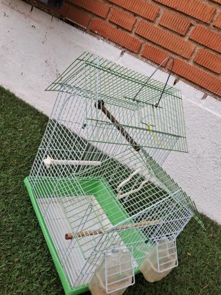 Jaula para pájaros o mascota