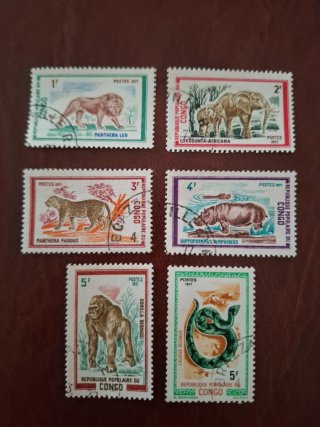 Sellos Congo 1971 Animales (6 sellos)