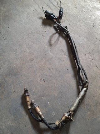 Sondas GTI MK4 20VT