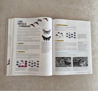 Biología y geología 4, Secundaria Edelvives