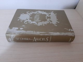 L'ombra di Amadeus