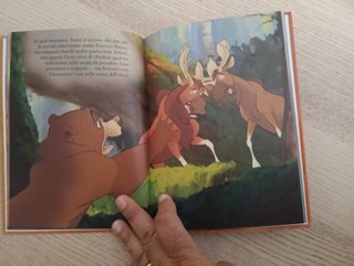 Koda fratello orso. Ediz. illustrata