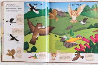 LOTE LIBROS INFANTILES