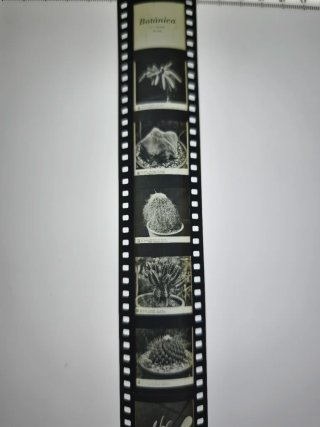 6 Cajas Película Cine Antiguo 35mm RELLEV