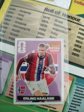 Cromos Mundial Panini Erling Haaland