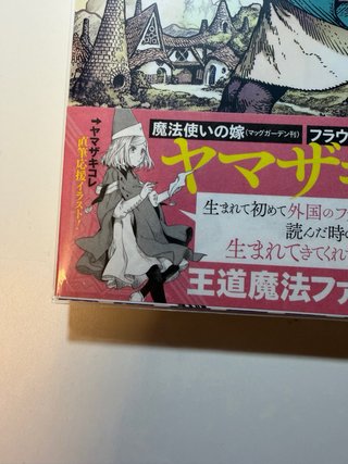 Atelier of Witch Hat (とんがり帽子のアトリエ)