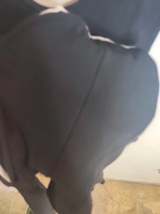 Salopette Ciclismo Nera XXL