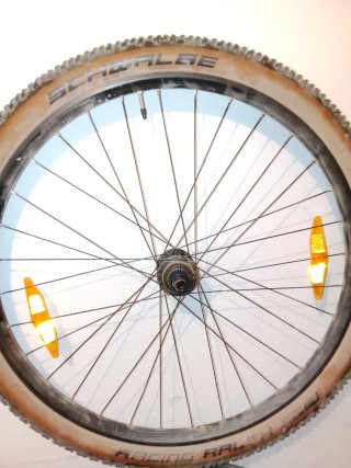 Rueda trasera Shimano 29"