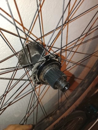 Rueda trasera Shimano 29"