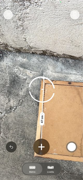 Dipinto ad olio del '900