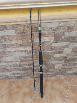 Caña de curricán