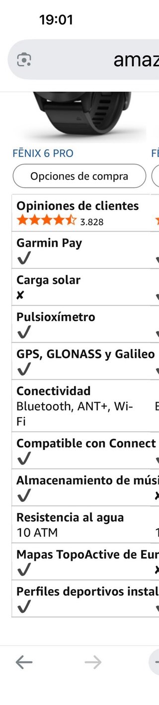 Reloj Garmin Fenix 6X Pro Negro