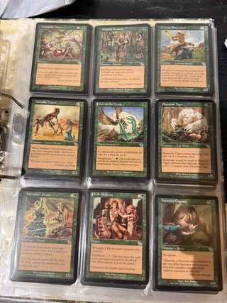 Lote Cartas Magic - Carpeta Magic the gathering