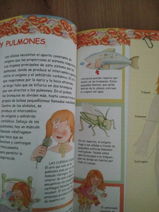 Libro infantil