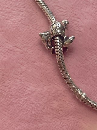 Charm Stitch con Rosa