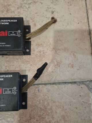 Tokai Automotive Loudspeaker