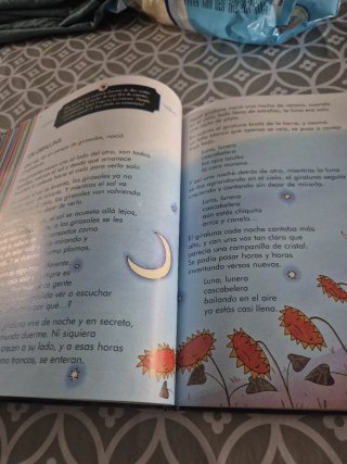 Lecturas para dormir a una princesa. 2 Primaria
